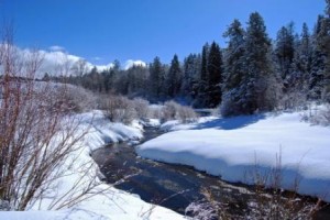 Teton Springs winter